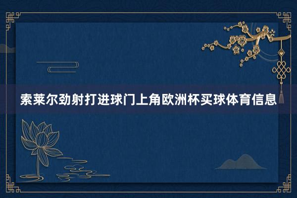 索莱尔劲射打进球门上角欧洲杯买球体育信息