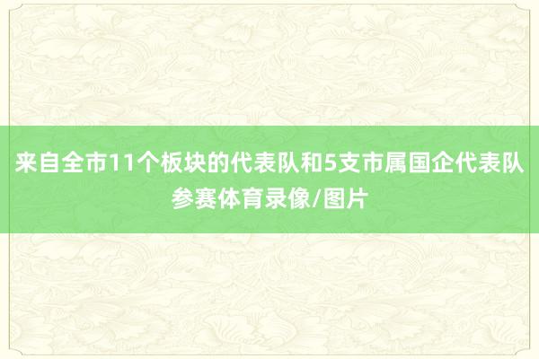 来自全市11个板块的代表队和5支市属国企代表队参赛体育录像/图片