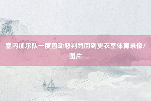 塞内加尔队一度因动怒判罚回到更衣室体育录像/图片
