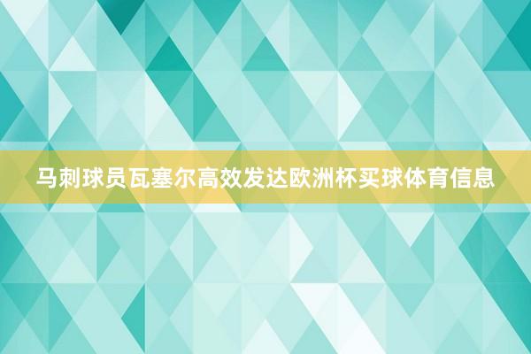 马刺球员瓦塞尔高效发达欧洲杯买球体育信息