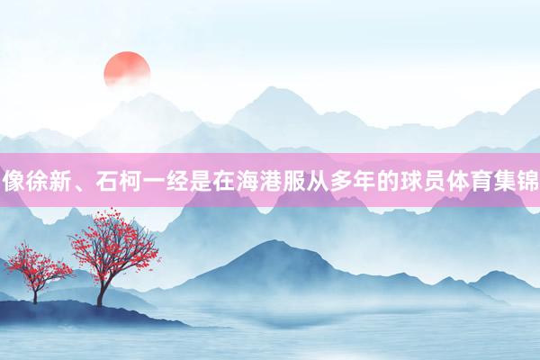 像徐新、石柯一经是在海港服从多年的球员体育集锦