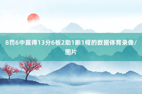 8罚6中赢得13分6板2助1断1帽的数据体育录像/图片