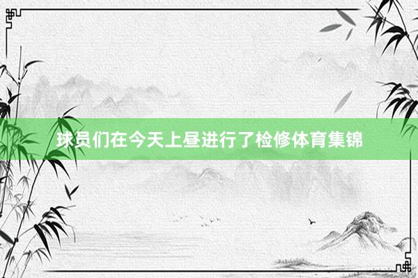 球员们在今天上昼进行了检修体育集锦