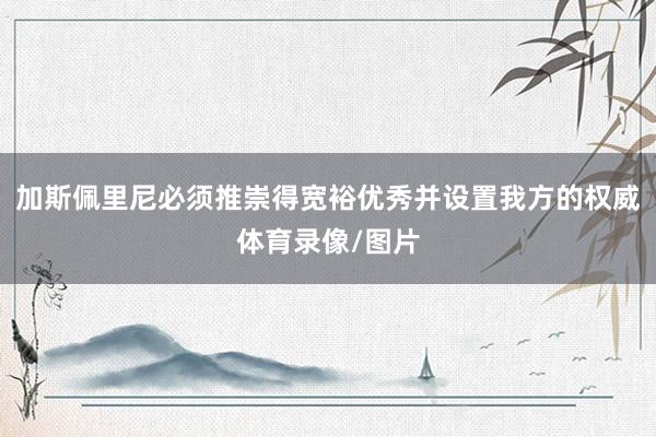 加斯佩里尼必须推崇得宽裕优秀并设置我方的权威体育录像/图片