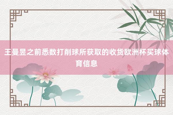 王曼昱之前悉数打削球所获取的收货欧洲杯买球体育信息