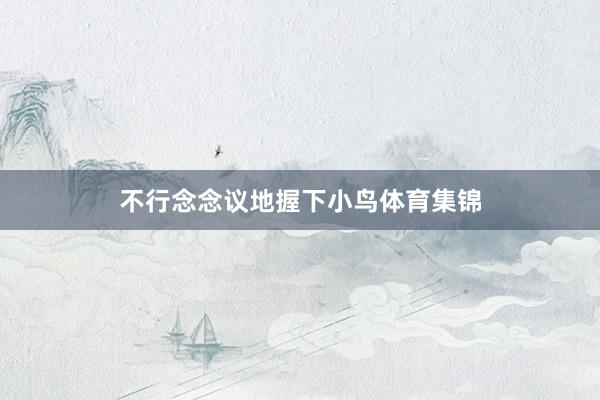 不行念念议地握下小鸟体育集锦