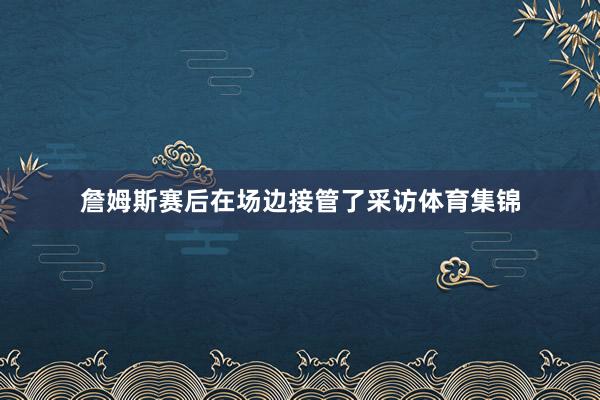 詹姆斯赛后在场边接管了采访体育集锦