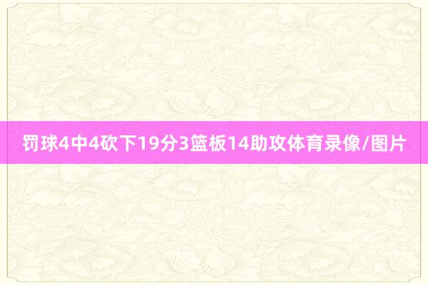 罚球4中4砍下19分3篮板14助攻体育录像/图片