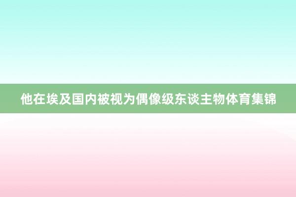 他在埃及国内被视为偶像级东谈主物体育集锦