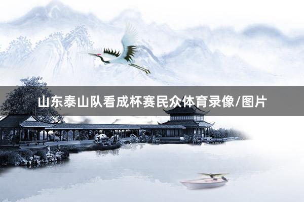 山东泰山队看成杯赛民众体育录像/图片