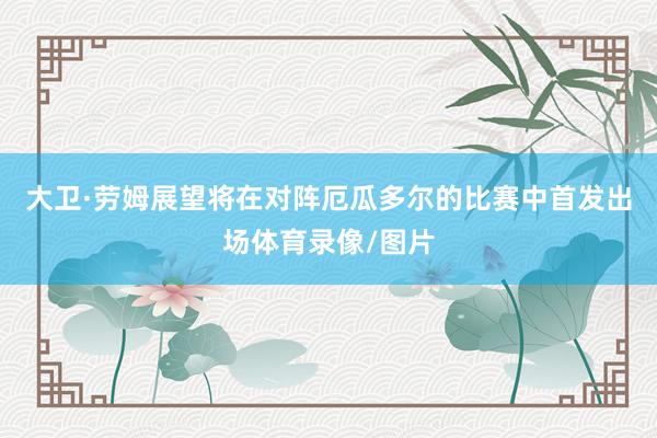 大卫·劳姆展望将在对阵厄瓜多尔的比赛中首发出场体育录像/图片